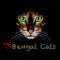 Bengal Cats Profile