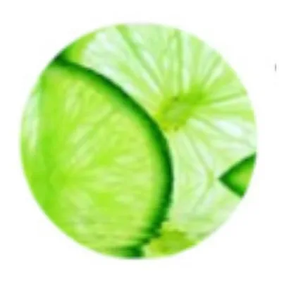 Wellness and Workouts