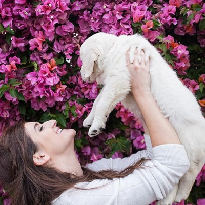 dommy's store Profile