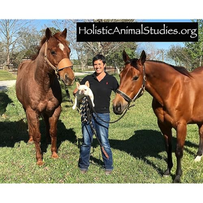 Holistic Animal Studies Profile