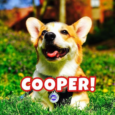 Cooper the Happy Corgi