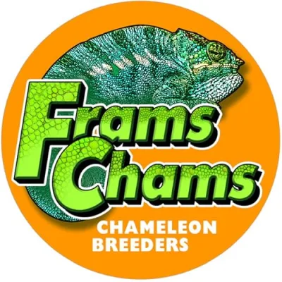 FramsChams Chameleon Breeders, LLC