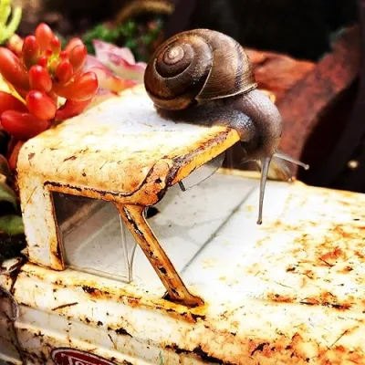 Partly Sunny Projects