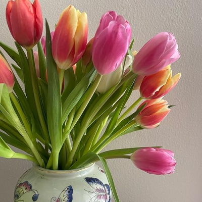 lucky peacock designs Profile