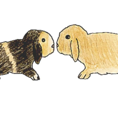 Bunnies and Binkies Profile