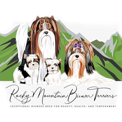 Rocky Mountain Biewer Terriers Profile
