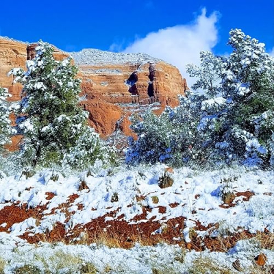 💙 Mo 💙 Profile