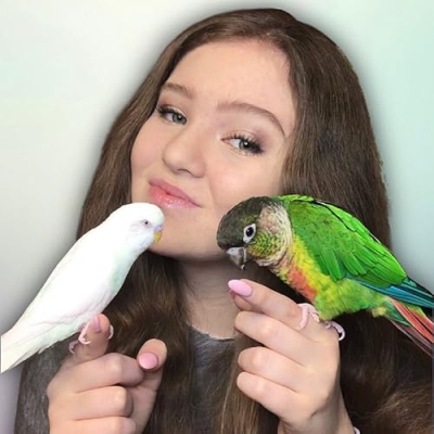 ElleAndTheBirds Profile