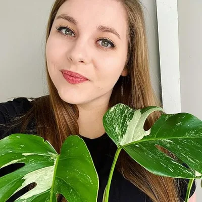 Claire’s Plant Essentials