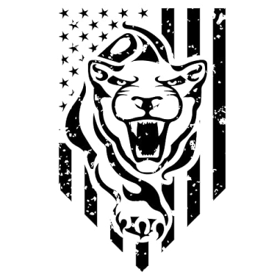 Lioness Tactics Profile