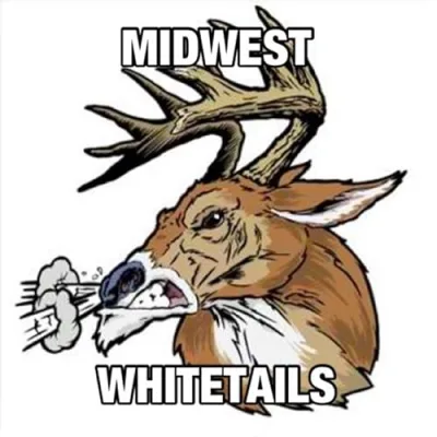 Midwest Whitetails