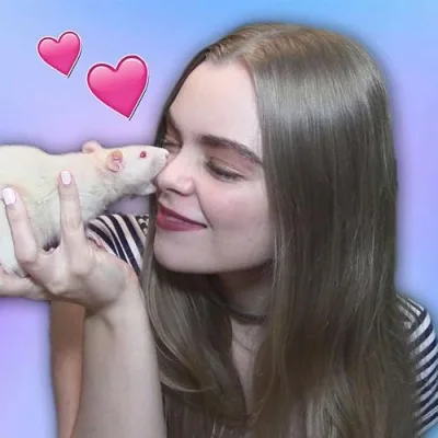 Pet Adventures Amazon Store