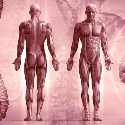 Institute of Human Anatomy Profile