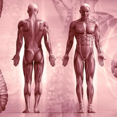 Institute of Human Anatomy