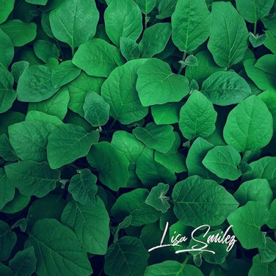 Lisa’s Favorites Profile