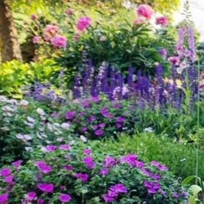 Old Castle Cottage Profile