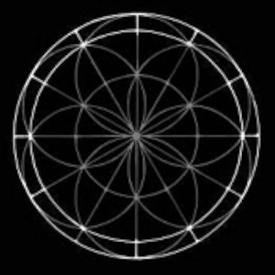 Designed By Instinct Profile