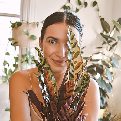 Jungle Casita Profile