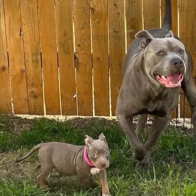 Reign & Snoh ❄️⛈️