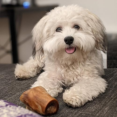 Codi's Essentials Profile