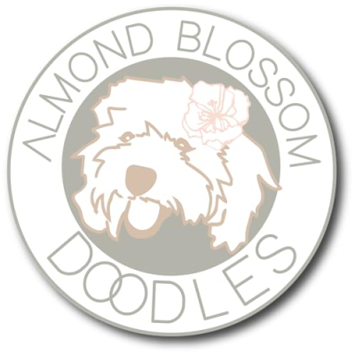 Almond Blossom Doodles Profile