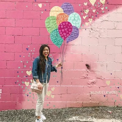 Diary of a Toronto Girl