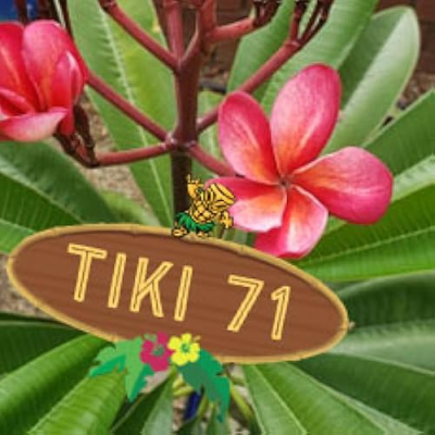 Tiki71 recommended Profile