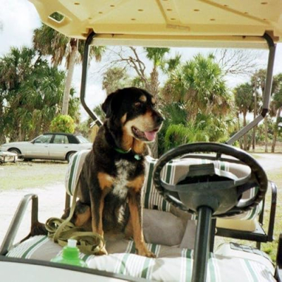 Sabin Marketing Profile