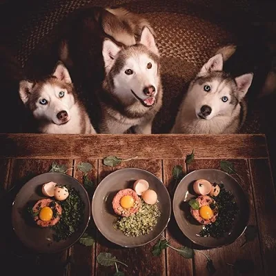 Husky Squad