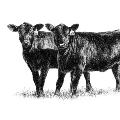 How Farms Work Profile