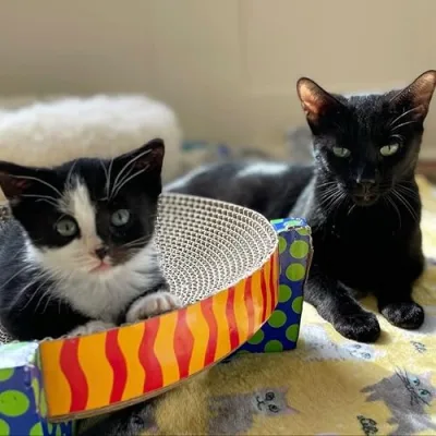 Tiny Timmy and Mama Betty