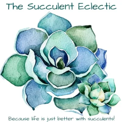 The Succulent Eclectic