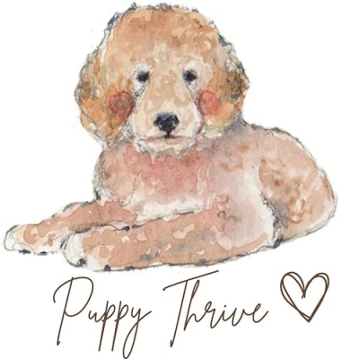 Best Products For Naturally Healthy Dogs Profile