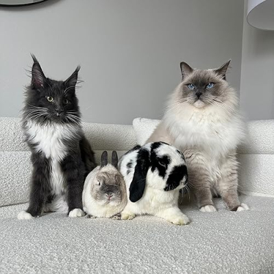 The Lexi Bunch Profile