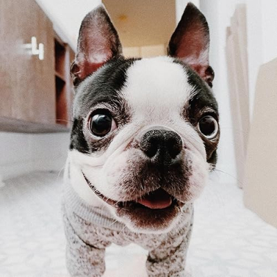 The Oasis Remedy Profile