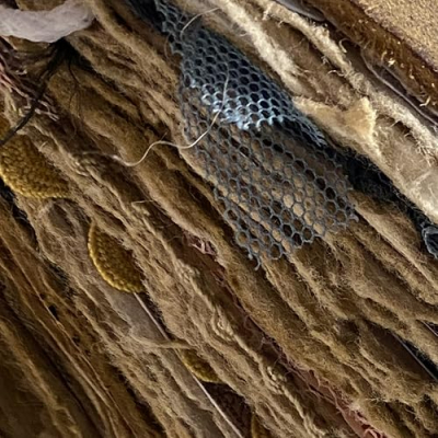 Enchanted Journaling Supplies Profile