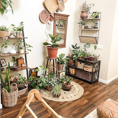 Your Eco Plant Tita Profile