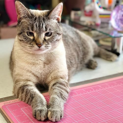 Kerry's Designs (Kerry Duff) Profile