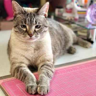 Kerry's Designs (Kerry Duff)