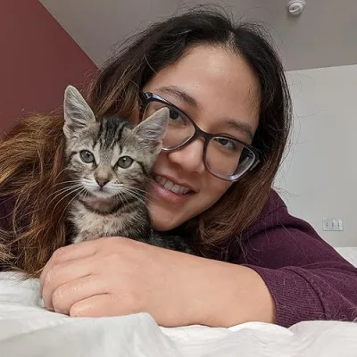 The Whole Kitten Caboodle