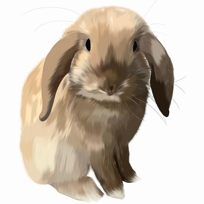 Dax's Favorites Profile