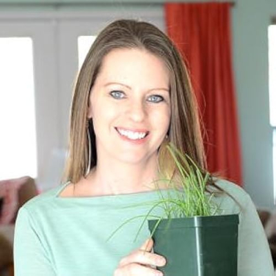 The Beginner's Garden Profile