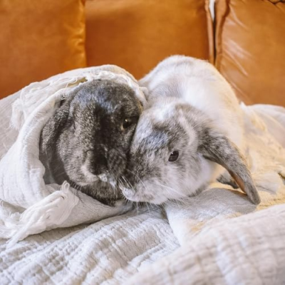 whiskey & malibu Profile